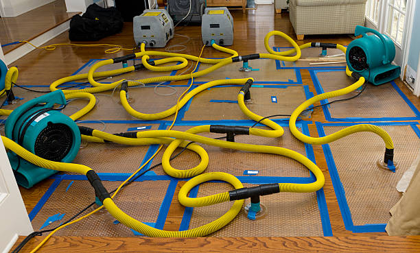Professional Water Extraction technician working in Franklin Park, NJ